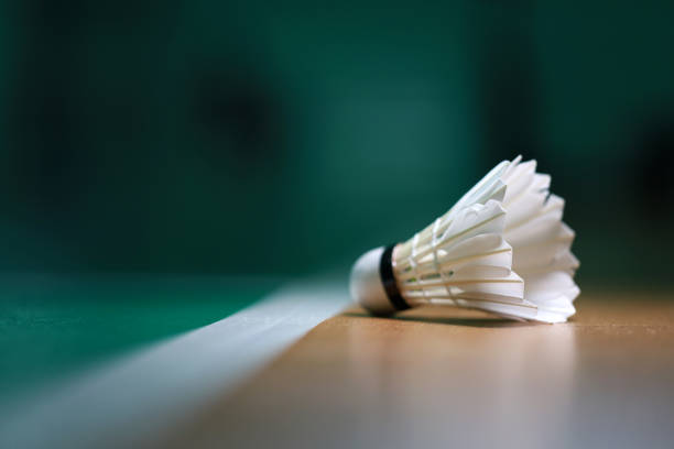 必一运动：羽毛球标准球网长度
